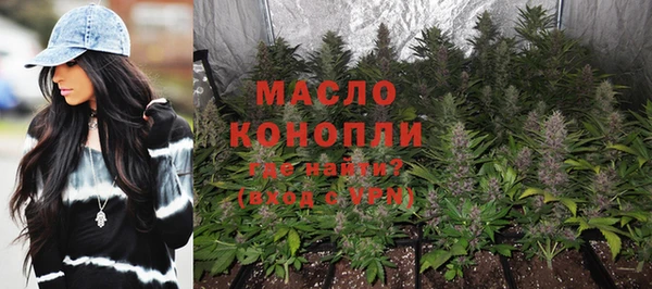 крисы Куйбышев