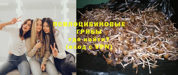 крисы Куйбышев