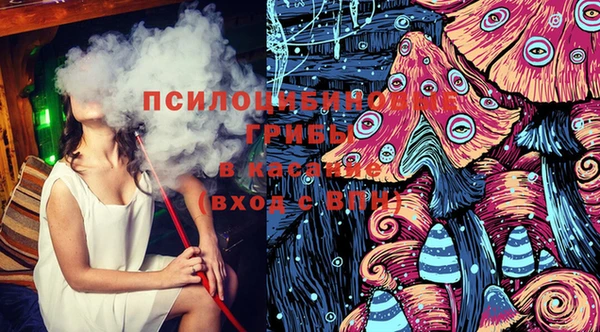 дживик Кулебаки